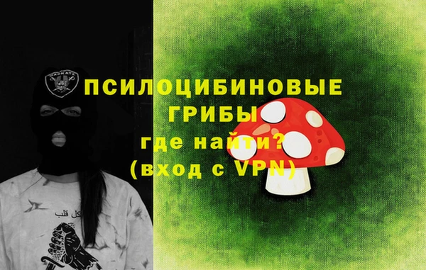 индика Верхнеуральск
