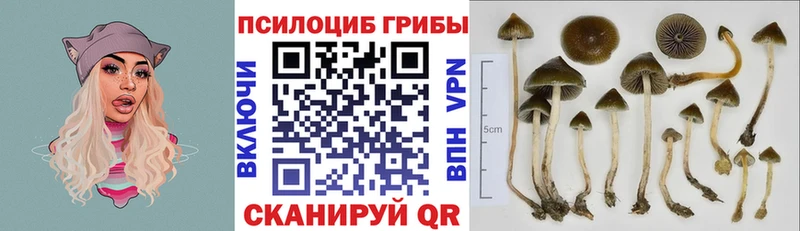 наркотики Ноябрьск Галлюциногенные грибы прущие грибы