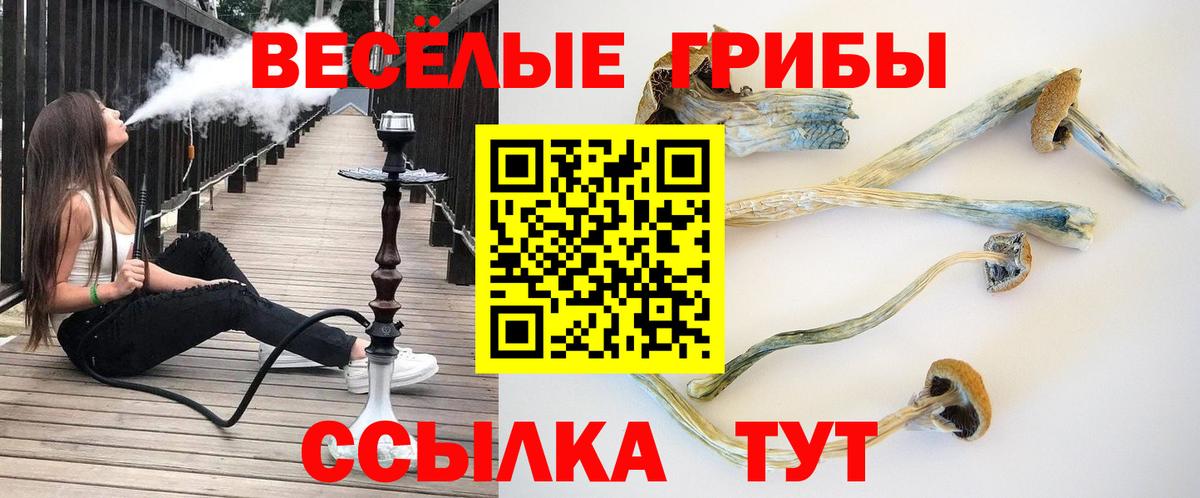 Псилоцибиновые грибы мухоморы Ноябрьск