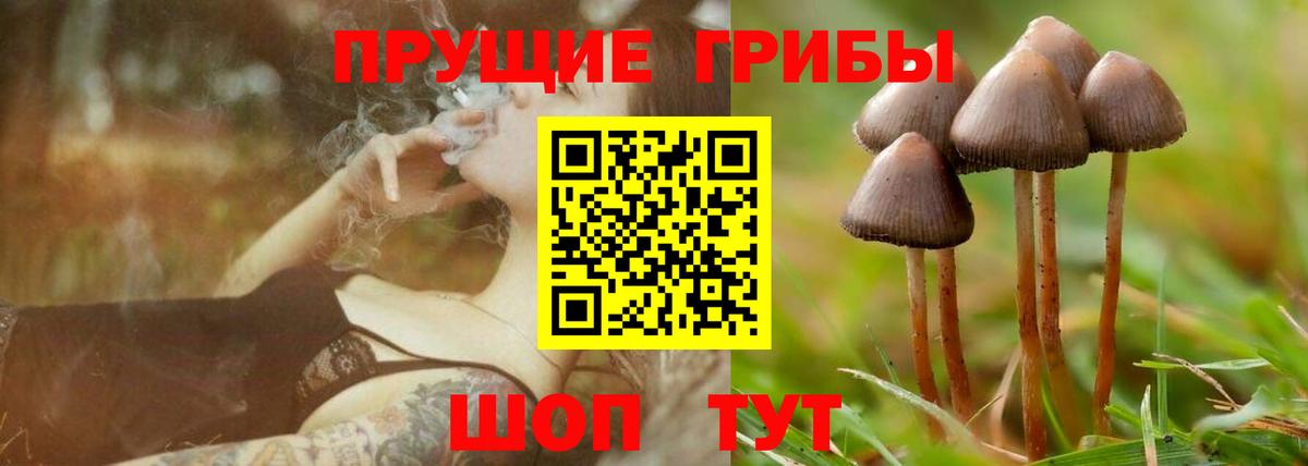 Галлюциногенные грибы прущие грибы  Вход с VPN  Псилоцибиновые грибы мухоморы  хочу наркоту  Ноябрьск 